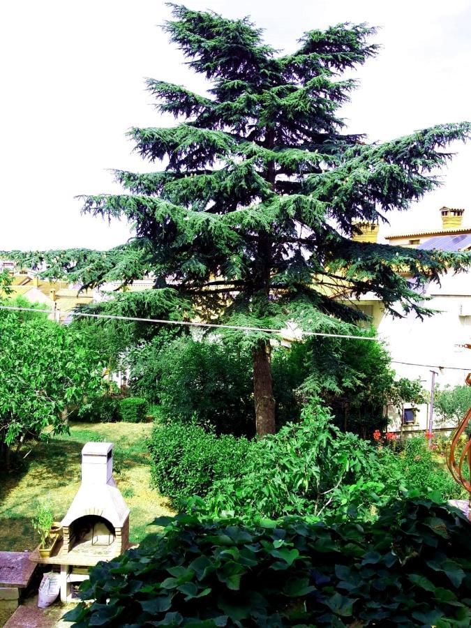 Silvana Appartement